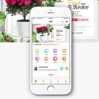 迭部门店微商城小程序开发