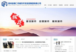 迭部城市开发投资集团有限公司