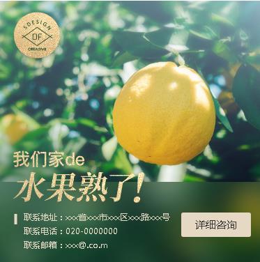 迭部果园果林小程序开发